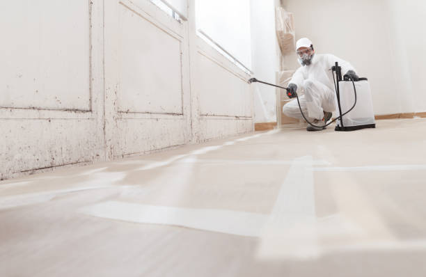 24/7 Emergency Mold Removal experts in Pipersville, PA